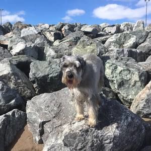 Meet your Posher, Heather